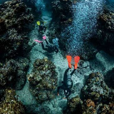 Baptême de plongée, département Pyrénées atlantiques Baptême de plongée, département Pyrénées atlantiques