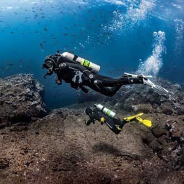 Saint-Jean-de-Luz, Pyrénées atlantiques (64) - Baptême de plongée Saint-Jean-de-Luz, Pyrénées atlantiques (64) - Baptême de plongée
