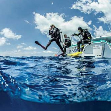Brevet de Plongée Sous Marine, département Pyrénées atlantiques Brevet de Plongée Sous Marine, département Pyrénées atlantiques