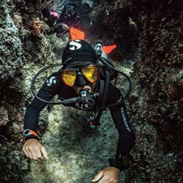 Brevet de Plongée Sous Marine en région Aquitaine Brevet de Plongée Sous Marine en région Aquitaine