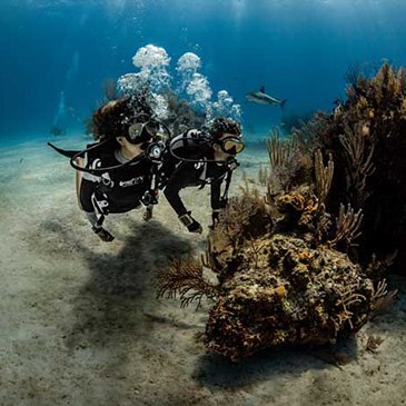 Saint-Jean-de-Luz, Pyrénées atlantiques (64) - Brevet de Plongée Sous Marine Saint-Jean-de-Luz, Pyrénées atlantiques (64) - Brevet de Plongée Sous Marine