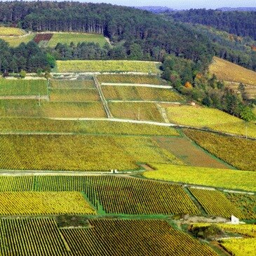 Baptême de l'air montgolfière proche Meursault Baptême de l'air montgolfière proche Meursault