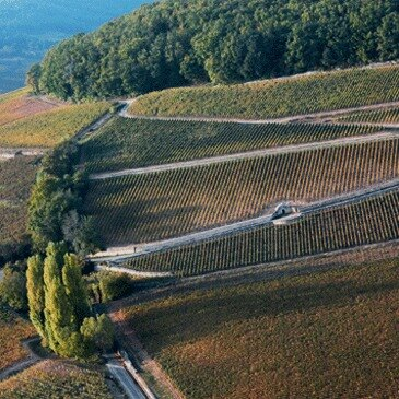 Vol en Montgolfière à Meursault - Survol de la Bourgogne en région Bourgogne Vol en Montgolfière à Meursault - Survol de la Bourgogne en région Bourgogne