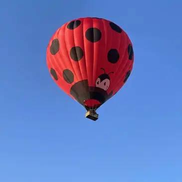 Réserver Baptême de l'air montgolfière département Côte d'or Réserver Baptême de l'air montgolfière département Côte d'or