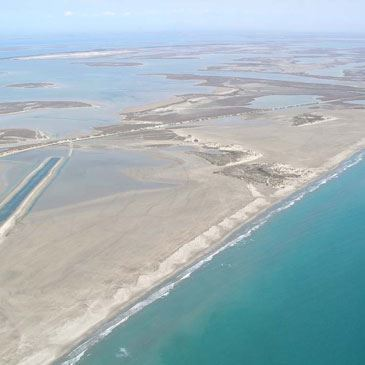 Baptême en ULM à Avignon - Survol de la Camargue Baptême en ULM à Avignon - Survol de la Camargue