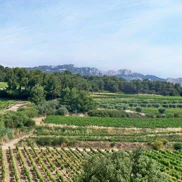 Baptême en ULM Multiaxe à Avignon en région PACA et Corse Baptême en ULM Multiaxe à Avignon en région PACA et Corse