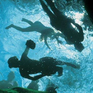 Randonnée Palmée à Quiberon Randonnée Palmée à Quiberon