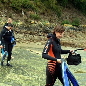 Snorkeling, département Morbihan Snorkeling, département Morbihan