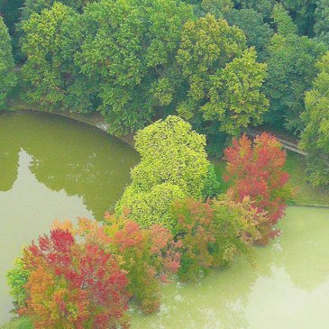 Baptême de l'air hélicoptère en région Belgique Baptême de l'air hélicoptère en région Belgique