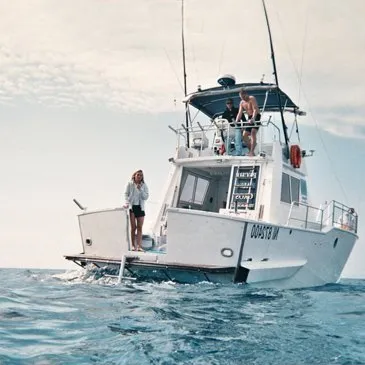 Nager avec les Dauphins à Cannes en région PACA et Corse