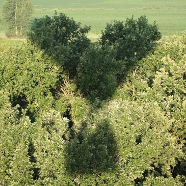 Vienne (86) Poitou-Charentes - Sport Aérien Vienne (86) Poitou-Charentes - Sport Aérien