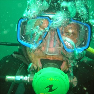 Quiberon, Morbihan (56) - Baptême de plongée Quiberon, Morbihan (56) - Baptême de plongée