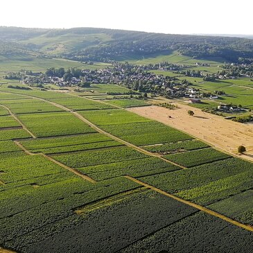 Baptême de l'air hélicoptère proche Aérodrome de Mâcon - Charnay Baptême de l'air hélicoptère proche Aérodrome de Mâcon - Charnay