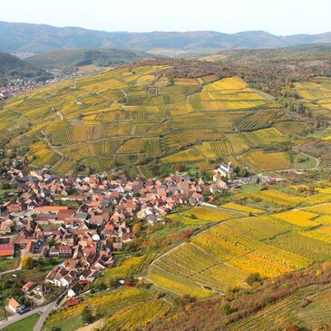 Baptême de l'air hélicoptère proche Aéroport de Colmar - Houssen Baptême de l'air hélicoptère proche Aéroport de Colmar - Houssen