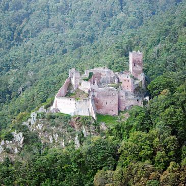 Réserver Baptême de l'air hélicoptère département Haut rhin Réserver Baptême de l'air hélicoptère département Haut rhin
