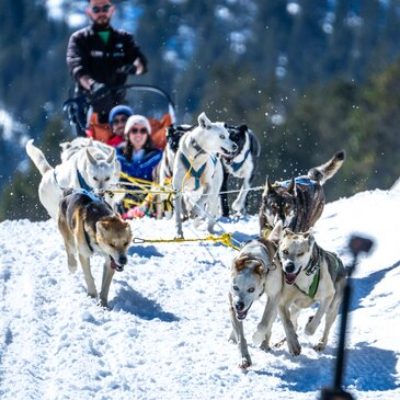 Randonnée en Chiens de traîneau près d'Ax-les-Thermes Randonnée en Chiens de traîneau près d'Ax-les-Thermes