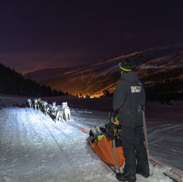 Grandvalira (Andorre), à 45 min d'Ax-les-Thermes, Ariège (09) - Chien de Traîneau Grandvalira (Andorre), à 45 min d'Ax-les-Thermes, Ariège (09) - Chien de Traîneau
