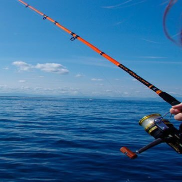 Pêche au gros, département Landes Pêche au gros, département Landes