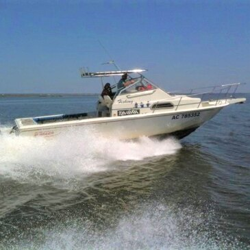 Pêche au gros, département Gironde Pêche au gros, département Gironde