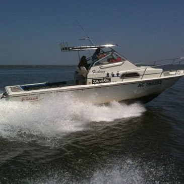 Pêche au gros, département Gironde Pêche au gros, département Gironde