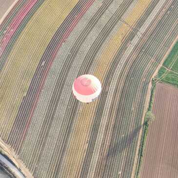 Vol en Montgolfière près de Manosque en région PACA et Corse Vol en Montgolfière près de Manosque en région PACA et Corse