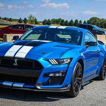 Stage en Ford Mustang Shelby GT500 - Circuit du Roussillon Stage en Ford Mustang Shelby GT500 - Circuit du Roussillon