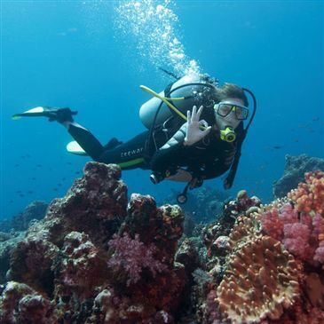 Passez Votre Brevet De Plongee Au Cap Ferret Bassin D Arcachon Passez Votre Brevet De Plongee Au Cap Ferret Bassin D Arcachon