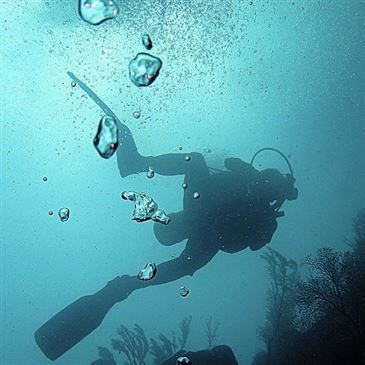 Brevet de Plongée SSI Open Water à Perpignan Brevet de Plongée SSI Open Water à Perpignan