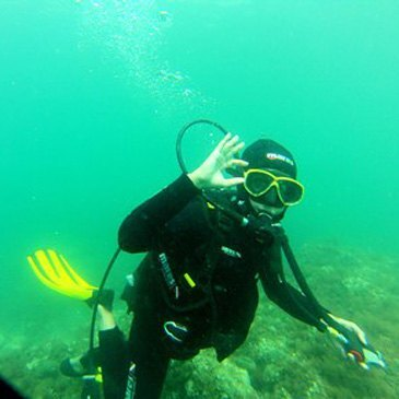 Brevet de Plongée Sous Marine, département Pyrénées orientales Brevet de Plongée Sous Marine, département Pyrénées orientales