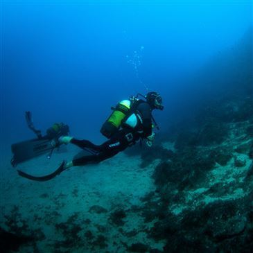 Baptême de plongée proche Nice, à 10 min de Villefranche-sur-Mer Baptême de plongée proche Nice, à 10 min de Villefranche-sur-Mer