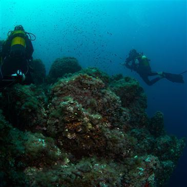 Baptême de Plongée près de Villefranche-sur-Mer en région PACA et Corse Baptême de Plongée près de Villefranche-sur-Mer en région PACA et Corse