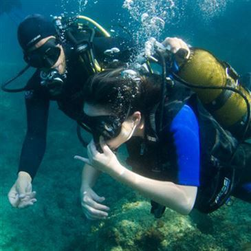 Brevet de Plongée Sous Marine, département Alpes Maritimes Brevet de Plongée Sous Marine, département Alpes Maritimes