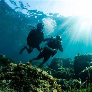 Brevet de Plongée Sous Marine en région PACA et Corse