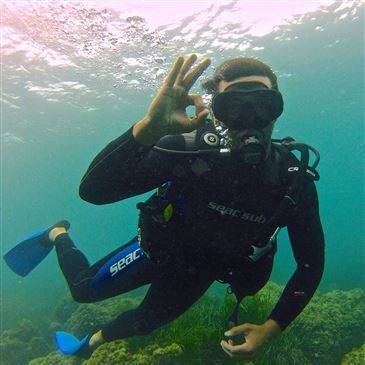 Nice, Alpes Maritimes (06) - Brevet de Plongée Sous Marine Nice, Alpes Maritimes (06) - Brevet de Plongée Sous Marine