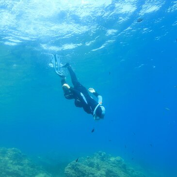 Initiation Apnée à La Ciotat près de Marseille Initiation Apnée à La Ciotat près de Marseille