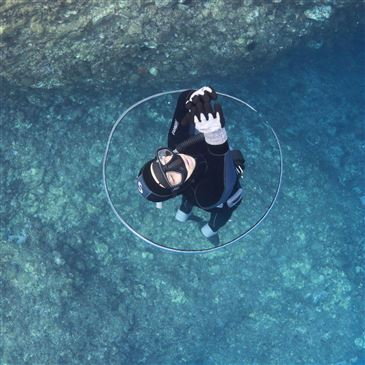 Baptême de plongée, département Bouches du Rhône Baptême de plongée, département Bouches du Rhône