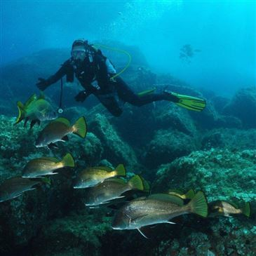 Baptême de Plongée à Santa Maria Poggio Baptême de Plongée à Santa Maria Poggio