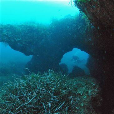 Santa Maria Poggio, Haute Corse (2B) - Baptême de plongée Santa Maria Poggio, Haute Corse (2B) - Baptême de plongée