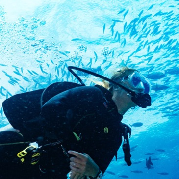 Baptême de Plongée dans le Golfe de Sagone Baptême de Plongée dans le Golfe de Sagone