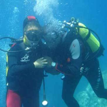 Brevet de Plongée Sous Marine en région PACA et Corse Brevet de Plongée Sous Marine en région PACA et Corse