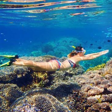 Randonnée Palmée dans le Golfe de Sagone Randonnée Palmée dans le Golfe de Sagone