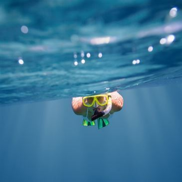 Snorkeling, département Corse du Sud Snorkeling, département Corse du Sud