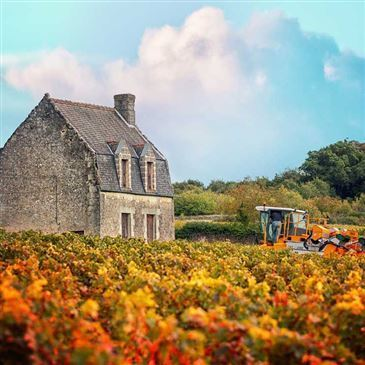 Escape Game Œnologique à Chinon Escape Game Œnologique à Chinon