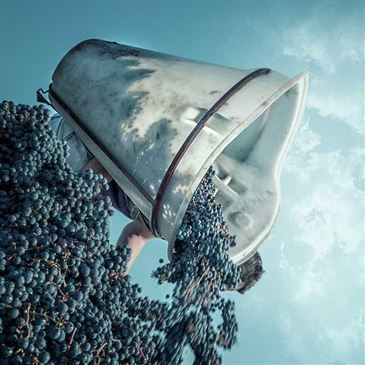 Escape Game en région Centre Escape Game en région Centre