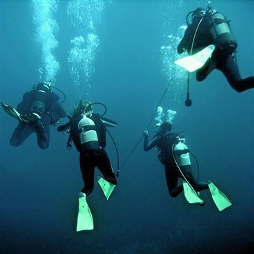 Brevet de Plongée Sous Marine, département Haute Corse Brevet de Plongée Sous Marine, département Haute Corse