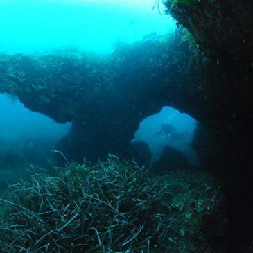 Santa Maria Poggio, Haute Corse (2B) - Brevet de Plongée Sous Marine Santa Maria Poggio, Haute Corse (2B) - Brevet de Plongée Sous Marine
