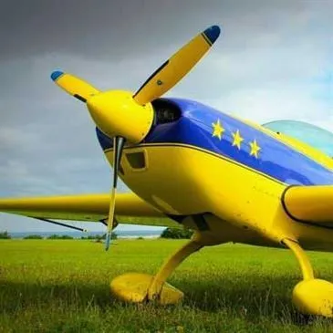 Baptême en avion de voltige proche Aérodrome de Persan-Beaumont
