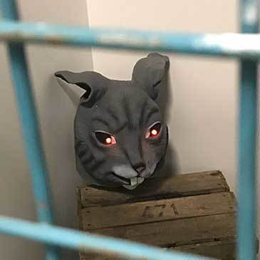 Escape Game en région Bretagne Escape Game en région Bretagne