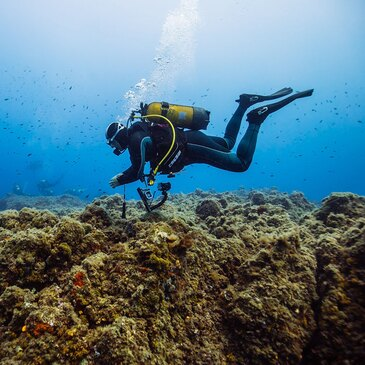 Baptême de Plongée à Villeneuve-Loubet Baptême de Plongée à Villeneuve-Loubet