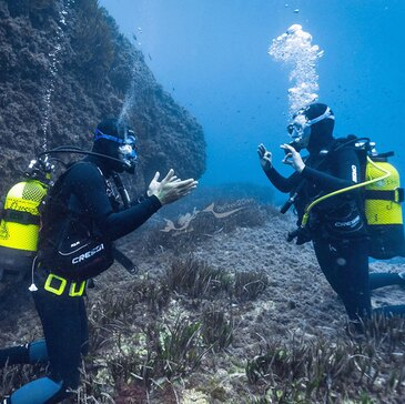 Baptême de Plongée à Villeneuve-Loubet en région PACA et Corse Baptême de Plongée à Villeneuve-Loubet en région PACA et Corse
